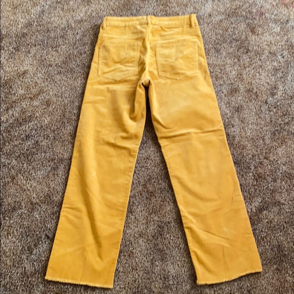 COPY - H&M women velvet pants. - Picture 4 of 7